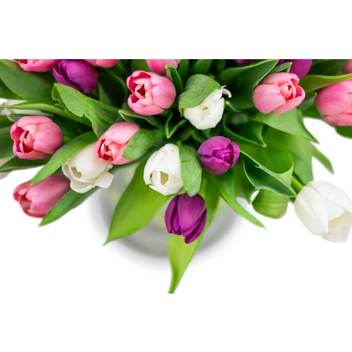 Kytice  tulipánů